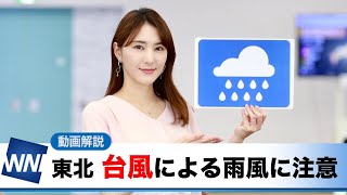 お天気キャスター解説 あす 7月28日(水)の天気