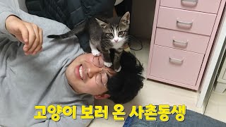 매력에 혼이 쏙 빠졌습니다 보름이를 만난 사촌동생의 반응