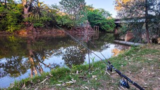 Good Fishing At Frank Garth Reserve In Wangaratta