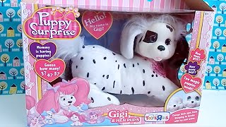 Puppy Surprise Gigi the Dalmatian Dog Toy- How Many Puppies Will She Have?