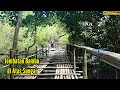 Jembatan bambu di atas sungai