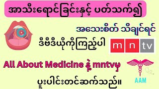 အာသီးရောင်ခြင်းနှင့် ပတ်သက်၍ သိသင့်သိထိုက်သောအချက်များ