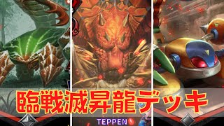 TEPPEN 臨戦滅昇龍拳デッキ IOF版 リュウ Ver.3.4