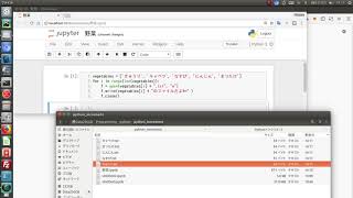 python increment sample
