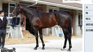 【競馬】2017 天皇賞（春）(ＧＩ) キタサンブラック