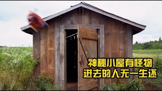 小屋里栖息嗜血生物，进去的人没一个活下来，《养鬼屋》