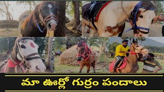 Horse race# గుర్రపు పందాలు#horse#animals#india#Telugu lifetimes