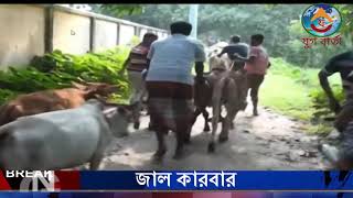 সর্ষের মধ্যে ভূত