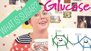 What is Sugar? | The Sugar Series (pt. 1)