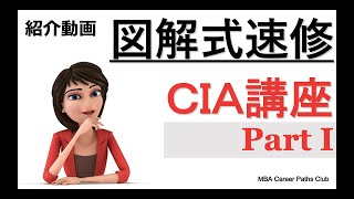 [Like CIA] CIA Course Part 1 Certified Internal Auditor - Promotion Video