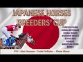 Meet the Japanese Contingent: Insights and Analysis for the Breeders' Cup