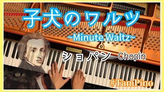 【子犬のワルツ】ショパン/Minute Waltz/Chopin/クラシック/ピアノ/TamPino