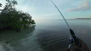 Watch what happens when testing my new rod