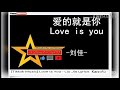 Liu jia - Ai De Jiu Shi Ni 爱的就是你 💓 Love Is You (karaoke pinyin)