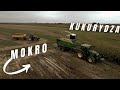 Kukurydza na kiszonkę - Fendt, McCormick, John Deere, Claas | movemeadek