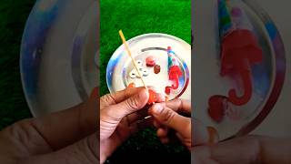 Pollo and fruit lollipop candy#youtubeshorts #ytshorts #shortsfeed #shorts #youtube #viral