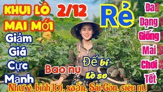 🍀2/12☎️0966200503 Ngọc 👉xã mai chơi Tết giá siêu rẻ,như ý,bình lợi,Sài Gòn,siêu nụ,thọ hương,cuc cam