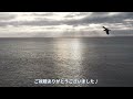 【千葉県】稲毛海浜 sunset beach♪