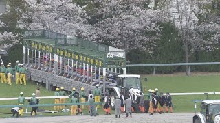 2024 OKA SHO (JAPANESE 1000 GUINEAS) (G1) | JRA Official