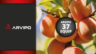 ARVIPO 37 EQUIP - HS37 sierra en altura, MT37 sierra a batería y PS37 tijera eléctrica.