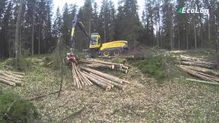 Eco Log 688 Cutting in Sweden with the 8WD Harvester Logging Forestry Fuel Efficient