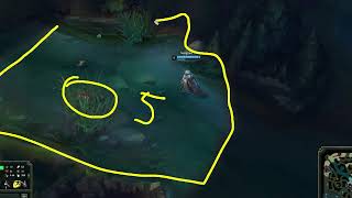 Make sure to UNDERSTAND how Vision works in League of Legends!