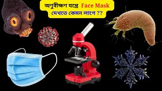 অণুবীক্ষণ যন্ত্রের সাহায্যে পর্যবেক্ষণ | Things under a Microscope | মায়াজাল ফ্যাক্টস