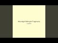 Moonlight Midnight Fragments