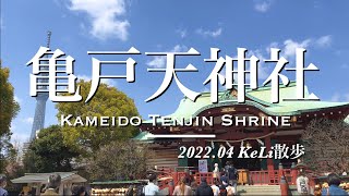 【4K】亀戸天神社を参拝しました！Visiting Kameido Tenjin Shrine!