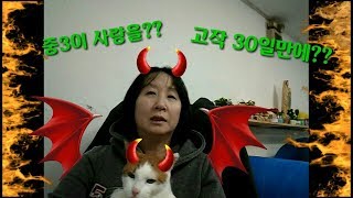 중3 딸의 (중학생연애)첫사랑|(청소년이성교제) 한달도 되지않아서 사랑한다고? | 속터지는엄마