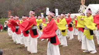 舞　人　2015武蔵高麗郡よさこい交流会