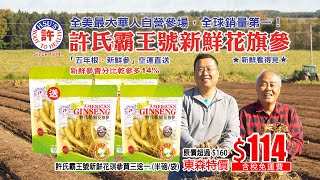 【東森特賣會】養生推薦 – 許氏 霸王號新鮮花旗參