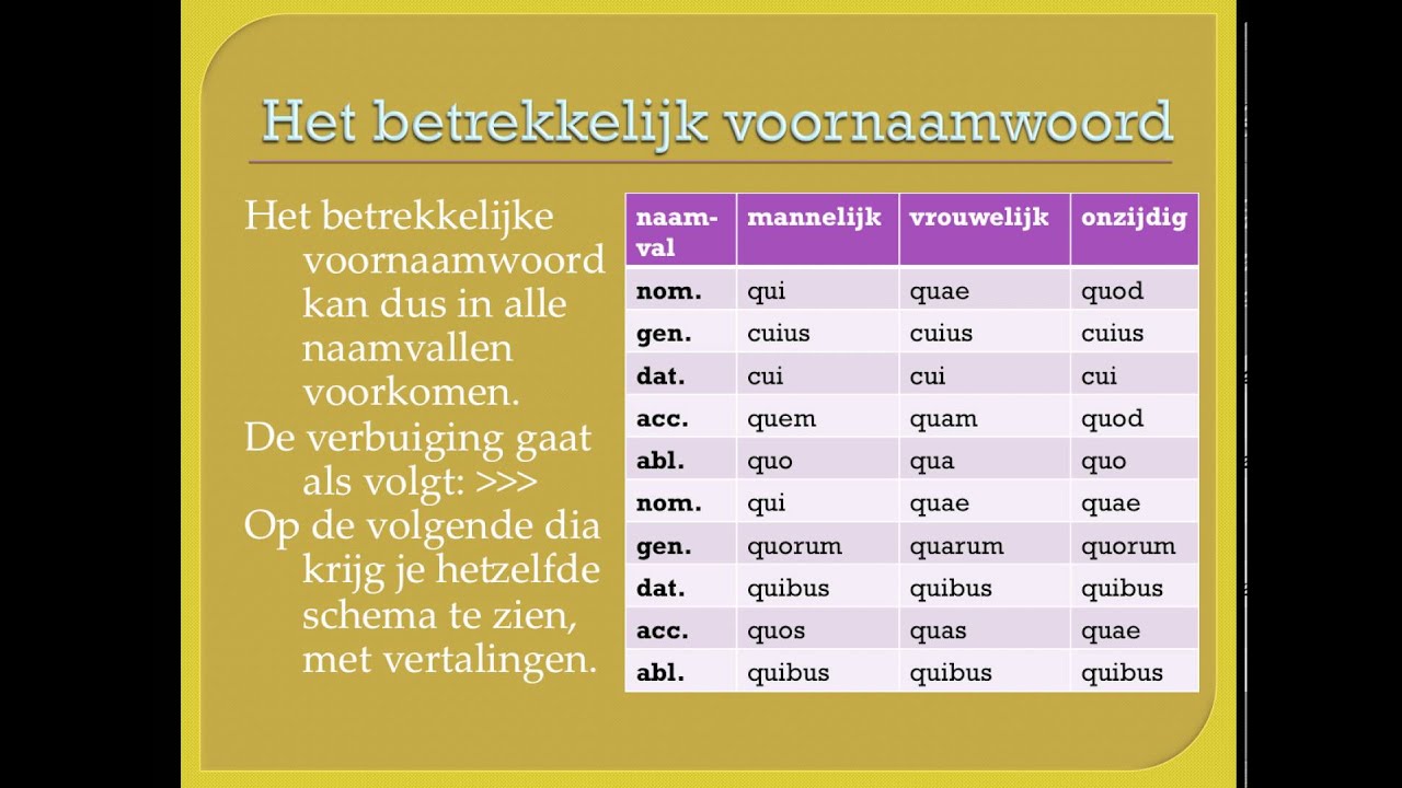 Scholieren.com Videoplatform :: Het Betrekkelijk Voornaamwoord