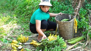 single mother harvests bananas to sell at the market - cooks for mother-in-law. TriệuThuThùy.