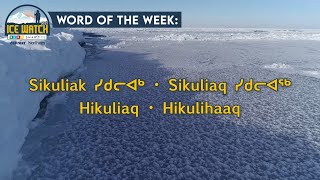 Sikuliaq - SIKU Ice Watch Word of the Week 6