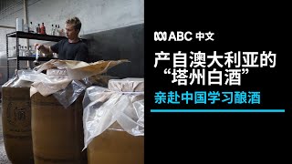 澳洲小哥在塔州自酿白酒：先到中国学习，再请华人品尝丨ABC中文