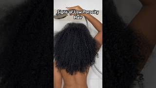 3 SIGNS OF LOW POROSITY HAIR ! #lowporosity #washday  #haircare #haircaresecrets #curls #hair