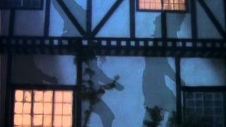 Fleetwood Mac - Everywhere (1987)