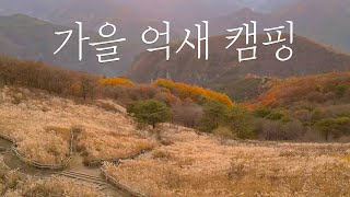 [4K] 가을의 절정에서 | 민둥산 | 백패킹 | 억새밭 | 은하수 | 강원도 정선 | 텐트 캠핑 | 백컨트리 재너두 | ASMR