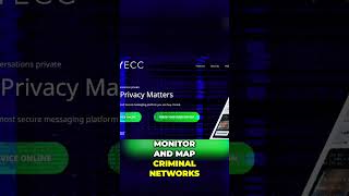 Cracking the Code: Exposing the Criminal Networks of Sky ECC