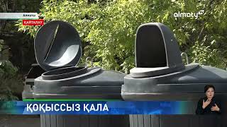 Жасыл аула: Алматыда көгалдандыру науқаны басталды