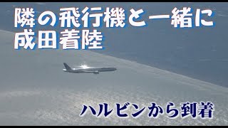 成田空港着陸　隣の飛行機と並走飛行から一緒に着陸　中国ハルビン旅行から成田へ到着