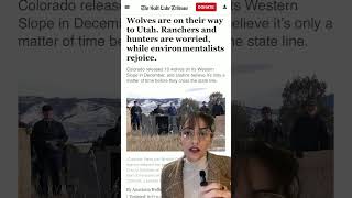 Utah paid anti-wolf activists over $5M to remove gray wolves from endangered species list