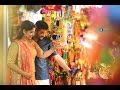 Kerala best Hindu wedding Highlight ACTRESS Gopika + Anand  2016 ( WATCH IN FULL HD )