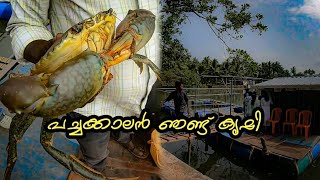 ആധുനിക രീതിയിലുള്ള പച്ചക്കലൻ ഞണ്ട് കൃഷി |crab farming|