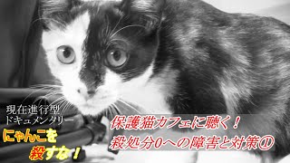 現在進行型ドキュメンタリー にゃんこを殺すな！第2回