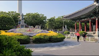 #부산영도다리와 #자갈치시장.#용두산공원을 한바퀴돌아보았다.지나간시절도 생각해보면서...