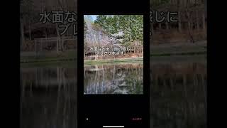 [TIPS]iPhoneカメラのLiveモードを使って水面を幻想的に長時間露光へする方法