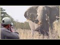 Amazing: How Do American Hunters And Farmers Deal With Million Of Wild Boar And Elephant By Guns