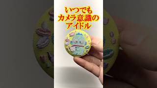 これ、本当はお菓子です！サンリオ刺繍缶つきBiscuit2開封！ #shorts #short #sanrio #サンリオ